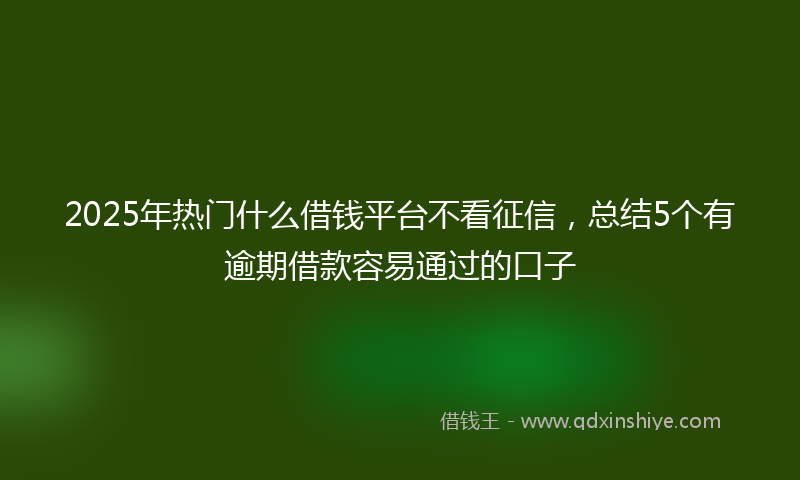 2025年热门什么借钱平台不看征信，总结5个有逾期借款容易通过的口子