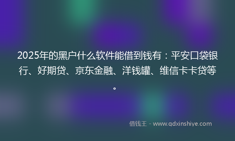 2025年的黑户什么软件能借到钱有：平安口袋银行、好期贷、京东金融、洋钱罐、维信卡卡贷等。