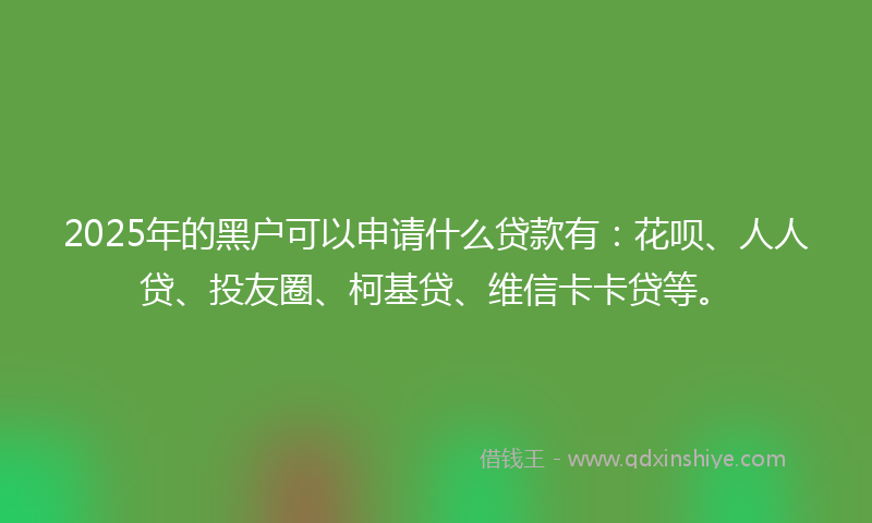 2025年的黑户可以申请什么贷款有：花呗、人人贷、投友圈、柯基贷、维信卡卡贷等。