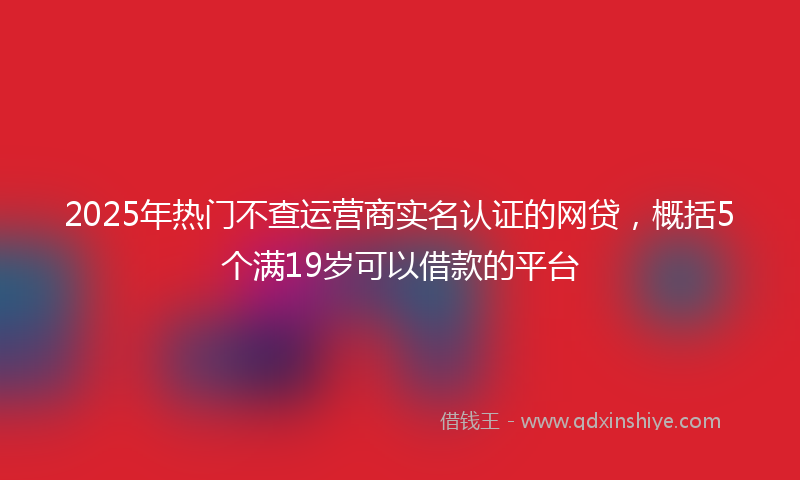 2025年热门不查运营商实名认证的网贷，概括5个满19岁可以借款的平台