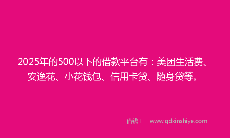 2025年的500以下的借款平台有：美团生活费、安逸花、小花钱包、信用卡贷、随身贷等。