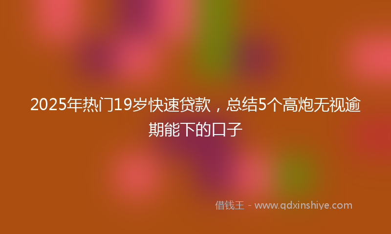 2025年热门19岁快速贷款，总结5个高炮无视逾期能下的口子