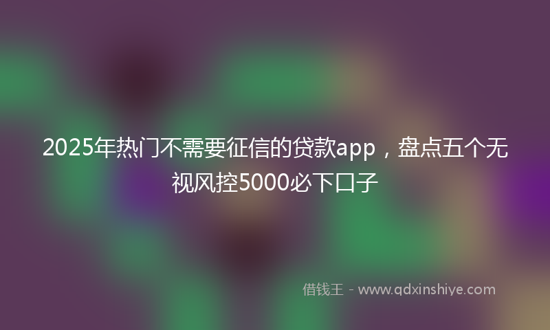 2025年热门不需要征信的贷款app，盘点五个无视风控5000必下口子