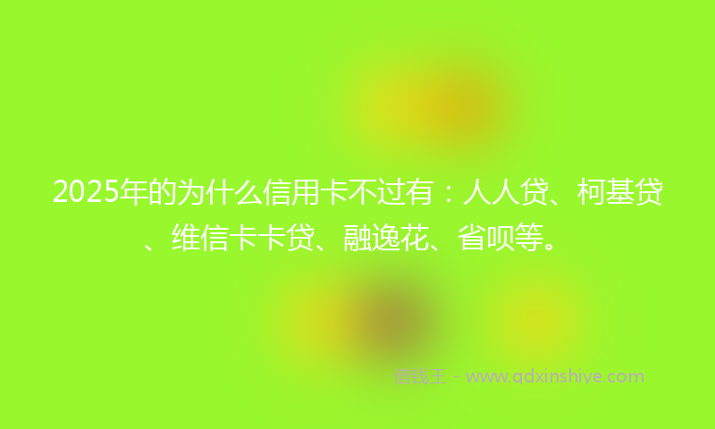 2025年的为什么信用卡不过有：人人贷、柯基贷、维信卡卡贷、融逸花、省呗等。