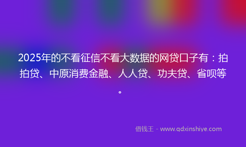 2025年的不看征信不看大数据的网贷口子有：拍拍贷、中原消费金融、人人贷、功夫贷、省呗等。