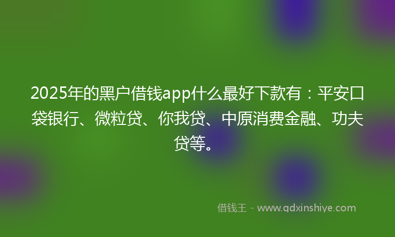 2025年的黑户借钱app什么最好下款有：平安口袋银行、微粒贷、你我贷、中原消费金融、功夫贷等。