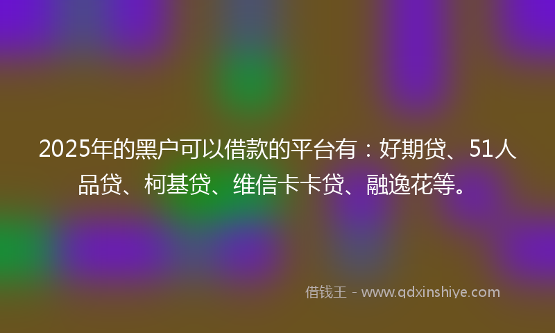 2025年的黑户可以借款的平台有：好期贷、51人品贷、柯基贷、维信卡卡贷、融逸花等。