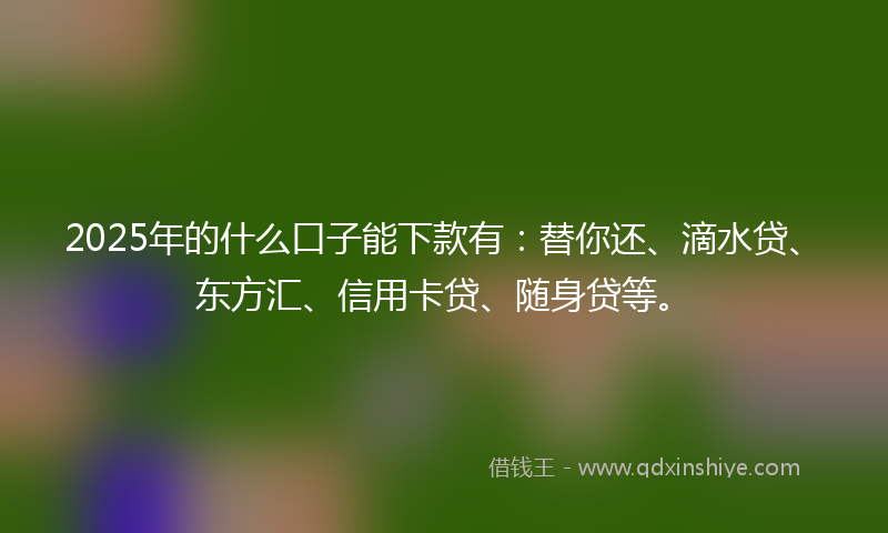 2025年的什么口子能下款有：替你还、滴水贷、东方汇、信用卡贷、随身贷等。