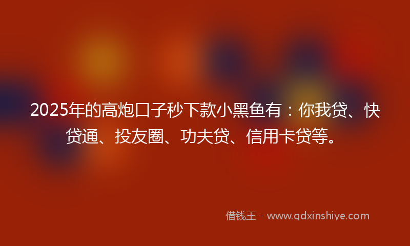 2025年的高炮口子秒下款小黑鱼有：你我贷、快贷通、投友圈、功夫贷、信用卡贷等。