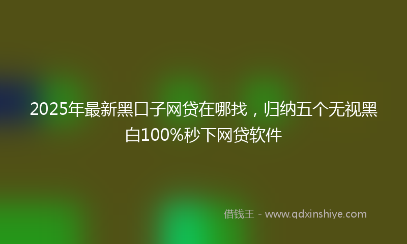 2025年最新黑口子网贷在哪找，归纳五个无视黑白100%秒下网贷软件
