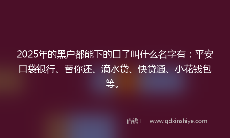 2025年的黑户都能下的口子叫什么名字有：平安口袋银行、替你还、滴水贷、快贷通、小花钱包等。
