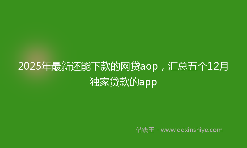 2025年最新还能下款的网贷aop，汇总五个12月独家贷款的app