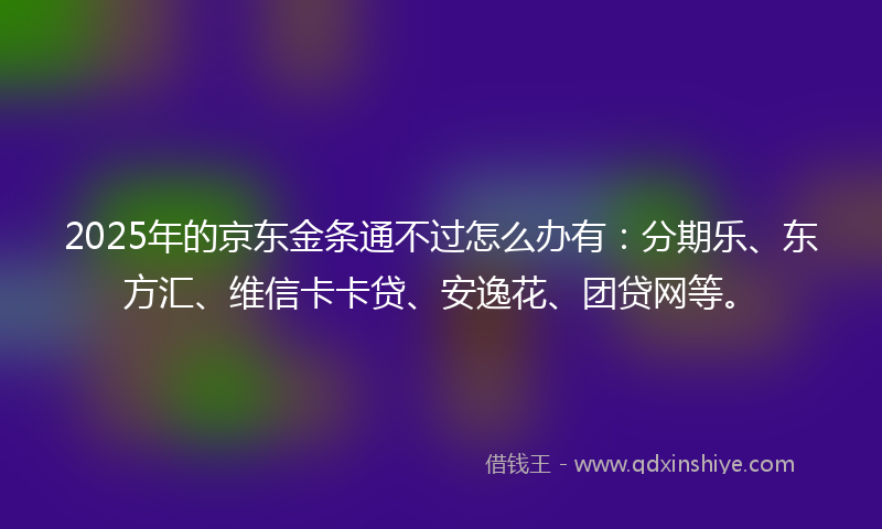 2025年的京东金条通不过怎么办有：分期乐、东方汇、维信卡卡贷、安逸花、团贷网等。