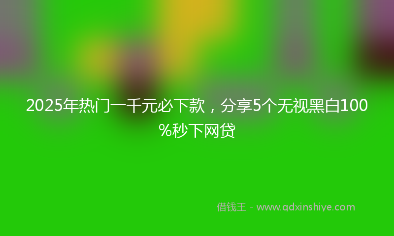 2025年热门一千元必下款，分享5个无视黑白100%秒下网贷