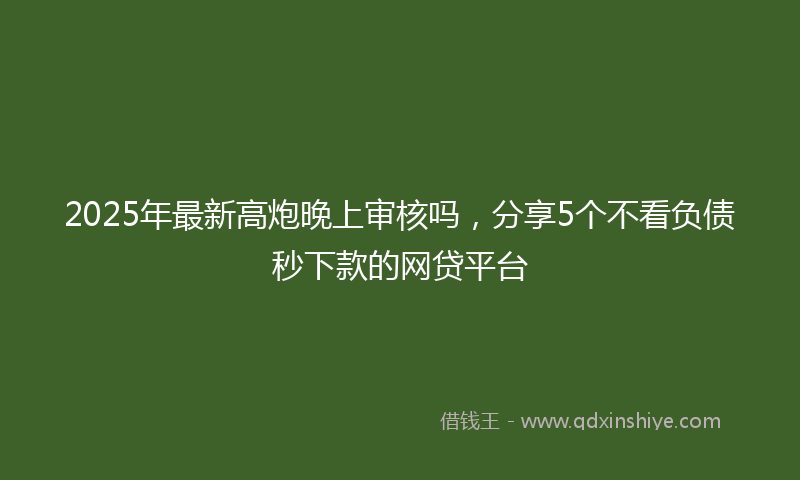 2025年最新高炮晚上审核吗，分享5个不看负债秒下款的网贷平台