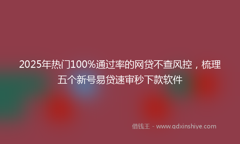 2025年热门100%通过率的网贷不查风控，梳理五个新号易贷速审秒下款软件