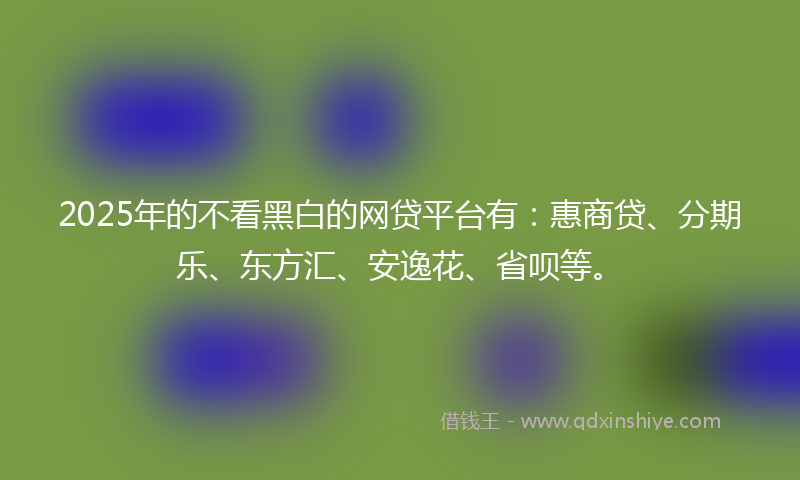 2025年的不看黑白的网贷平台有：惠商贷、分期乐、东方汇、安逸花、省呗等。