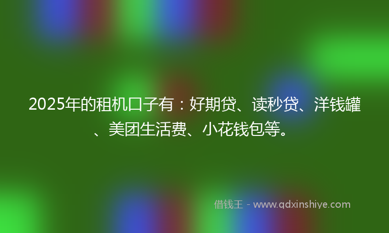 2025年的租机口子有：好期贷、读秒贷、洋钱罐、美团生活费、小花钱包等。