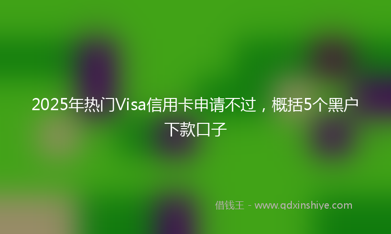 2025年热门Visa信用卡申请不过，概括5个黑户下款口子