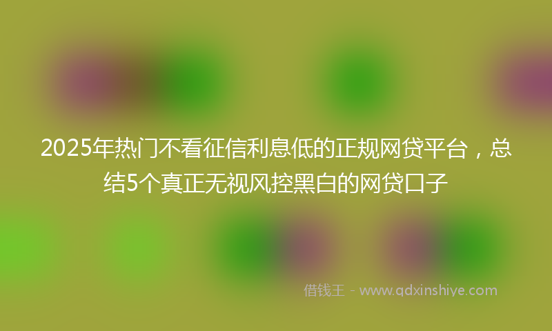 2025年热门不看征信利息低的正规网贷平台，总结5个真正无视风控黑白的网贷口子