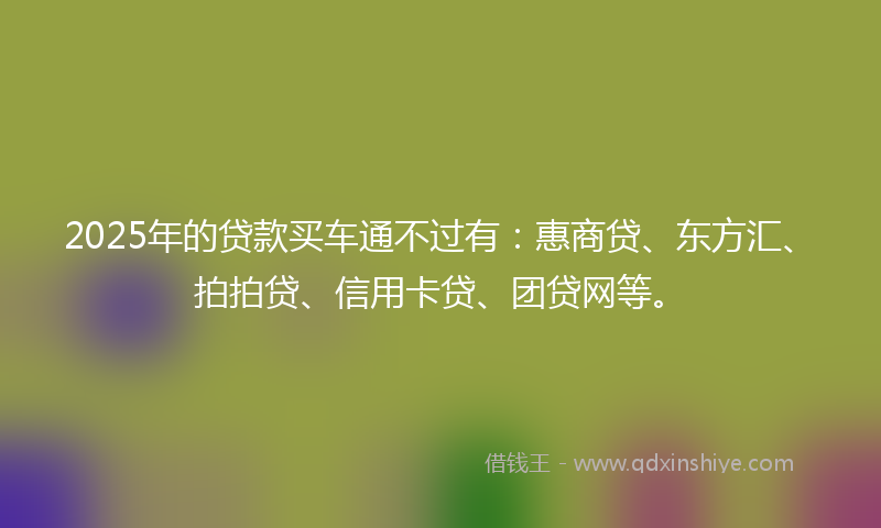 2025年的贷款买车通不过有：惠商贷、东方汇、拍拍贷、信用卡贷、团贷网等。