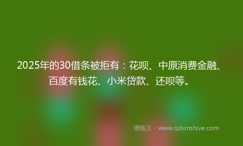 2025年的30借条被拒有：花呗、中原消费金融、百度有钱花、小米贷款、还呗等。