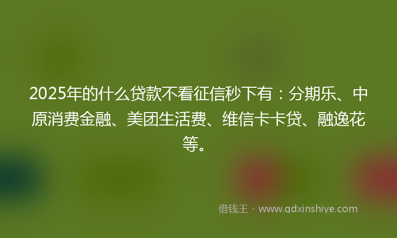 2025年的什么贷款不看征信秒下有：分期乐、中原消费金融、美团生活费、维信卡卡贷、融逸花等。
