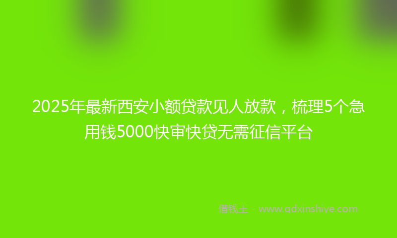 2025年最新西安小额贷款见人放款，梳理5个急用钱5000快审快贷无需征信平台