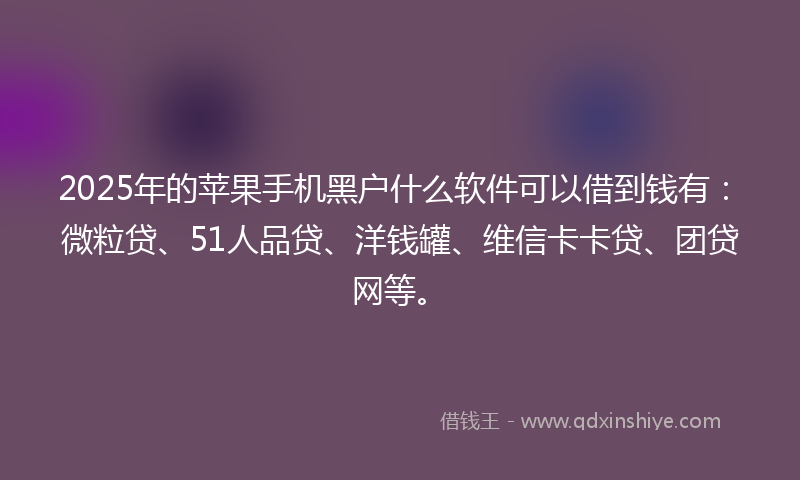 2025年的苹果手机黑户什么软件可以借到钱有：微粒贷、51人品贷、洋钱罐、维信卡卡贷、团贷网等。