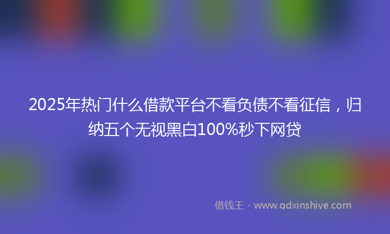 2025年热门什么借款平台不看负债不看征信，归纳五个无视黑白100%秒下网贷