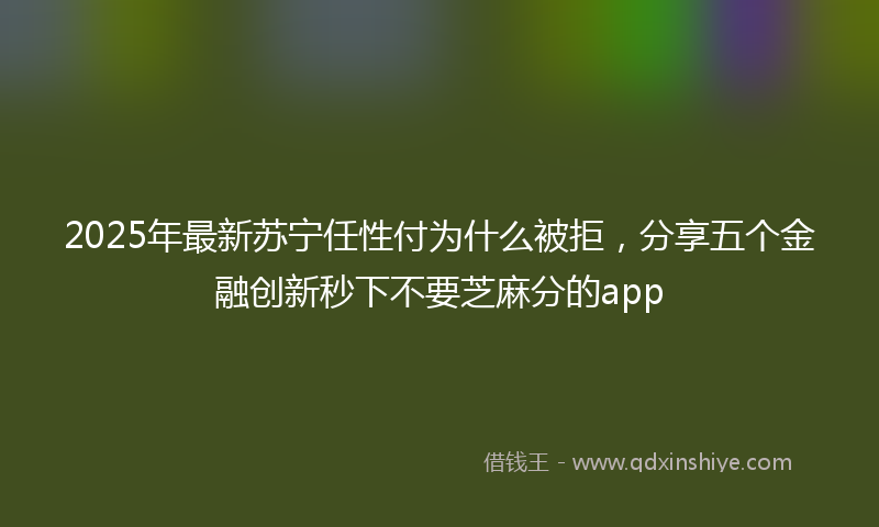 2025年最新苏宁任性付为什么被拒，分享五个金融创新秒下不要芝麻分的app