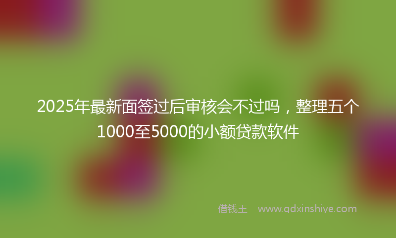 2025年最新面签过后审核会不过吗，整理五个1000至5000的小额贷款软件