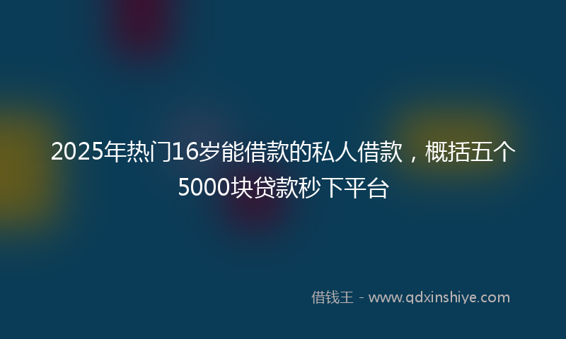 2025年热门16岁能借款的私人借款，概括五个5000块贷款秒下平台