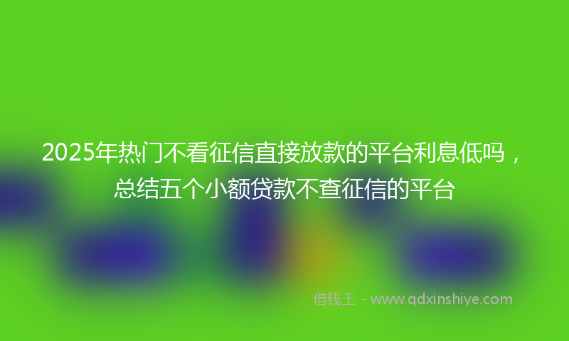 2025年热门不看征信直接放款的平台利息低吗，总结五个小额贷款不查征信的平台
