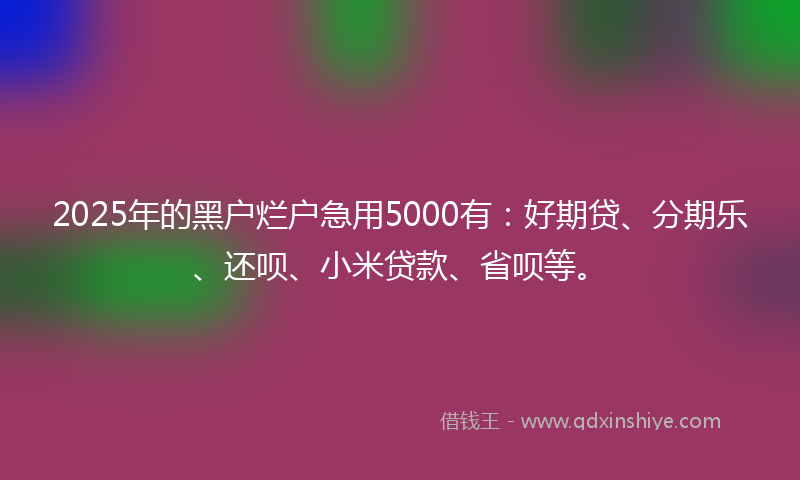 2025年的黑户烂户急用5000有：好期贷、分期乐、还呗、小米贷款、省呗等。