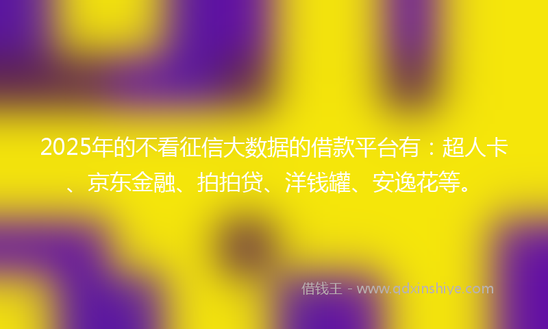 2025年的不看征信大数据的借款平台有：超人卡、京东金融、拍拍贷、洋钱罐、安逸花等。