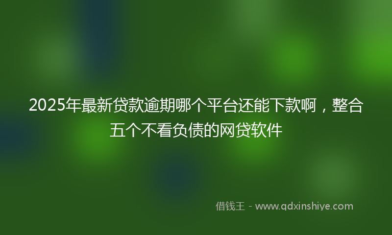 2025年最新贷款逾期哪个平台还能下款啊，整合五个不看负债的网贷软件