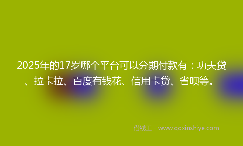 2025年的17岁哪个平台可以分期付款有：功夫贷、拉卡拉、百度有钱花、信用卡贷、省呗等。