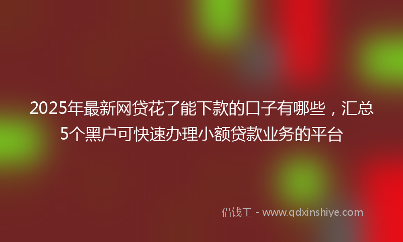 2025年最新网贷花了能下款的口子有哪些，汇总5个黑户可快速办理小额贷款业务的平台