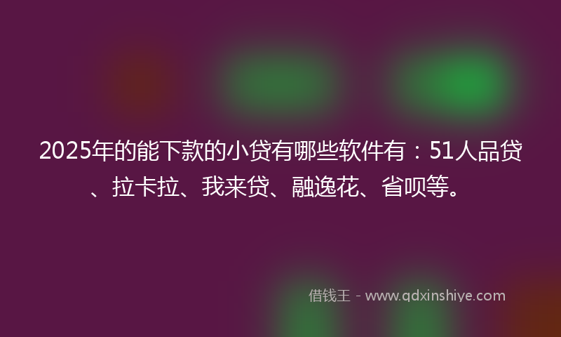 2025年的能下款的小贷有哪些软件有：51人品贷、拉卡拉、我来贷、融逸花、省呗等。