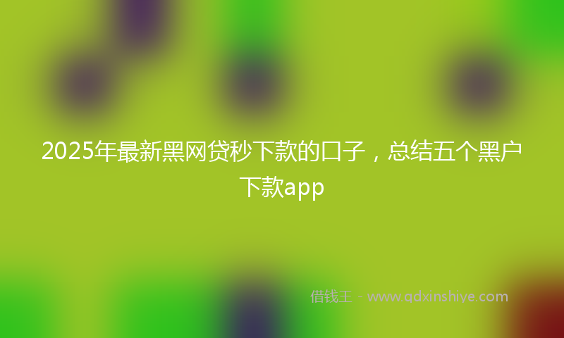 2025年最新黑网贷秒下款的口子，总结五个黑户下款app