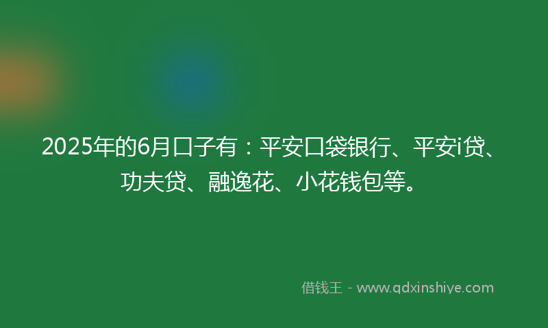 2025年的6月口子有：平安口袋银行、平安i贷、功夫贷、融逸花、小花钱包等。