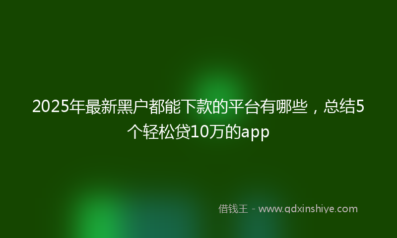 2025年最新黑户都能下款的平台有哪些，总结5个轻松贷10万的app
