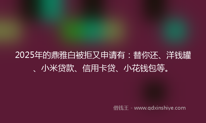 2025年的鼎雅白被拒又申请有：替你还、洋钱罐、小米贷款、信用卡贷、小花钱包等。