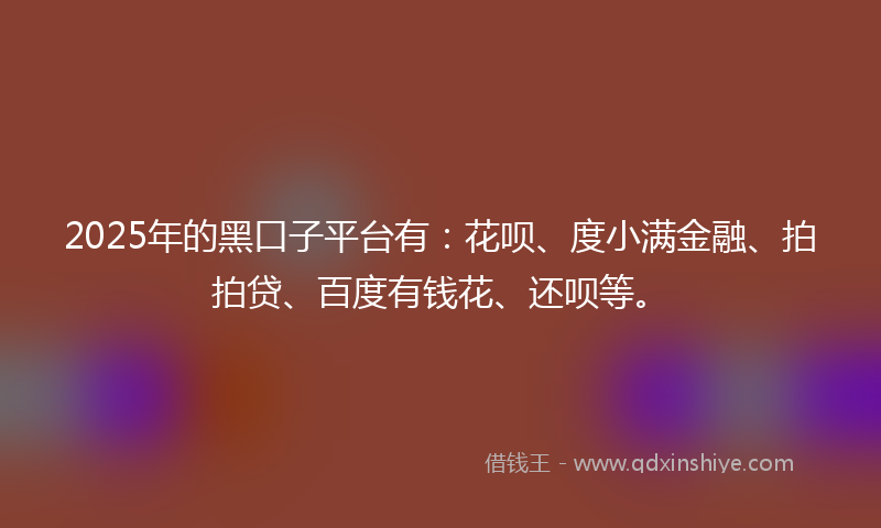 2025年的黑口子平台有：花呗、度小满金融、拍拍贷、百度有钱花、还呗等。