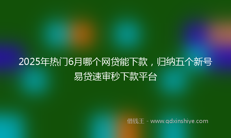 2025年热门6月哪个网贷能下款，归纳五个新号易贷速审秒下款平台