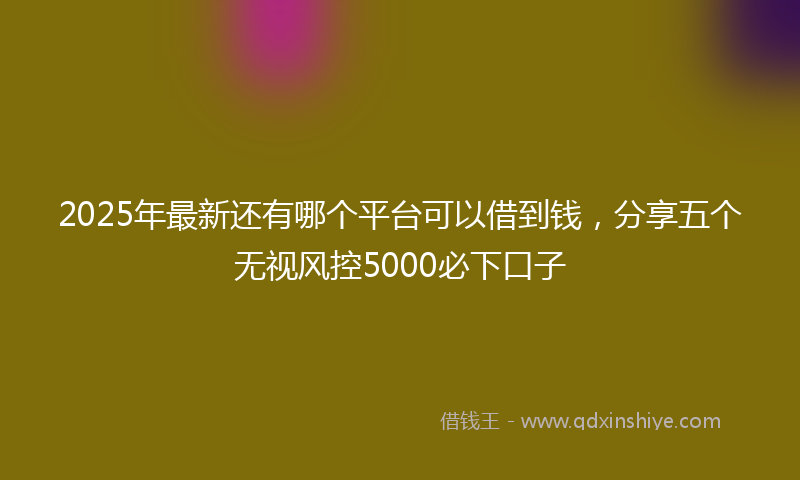 2025年最新还有哪个平台可以借到钱，分享五个无视风控5000必下口子