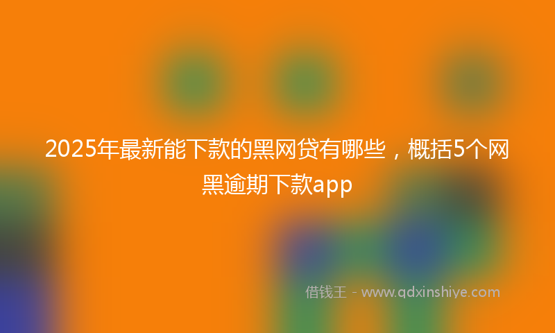 2025年最新能下款的黑网贷有哪些，概括5个网黑逾期下款app