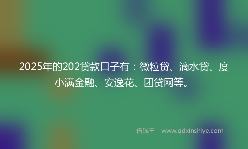 2025年的202贷款口子有：微粒贷、滴水贷、度小满金融、安逸花、团贷网等。