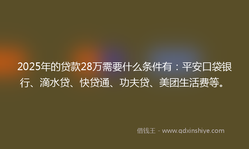 2025年的贷款28万需要什么条件有：平安口袋银行、滴水贷、快贷通、功夫贷、美团生活费等。